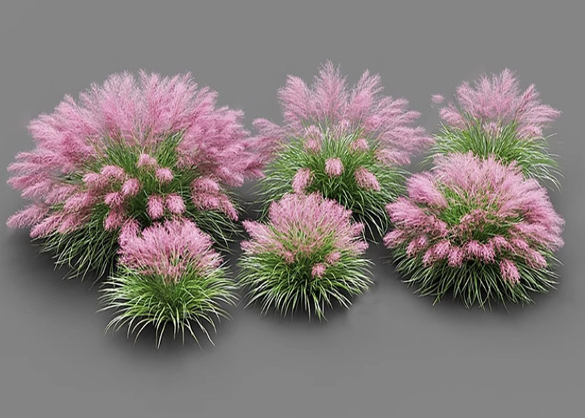 CÂY ĐỘNG  DÙNG CHO LUMION 11, 12, 2023